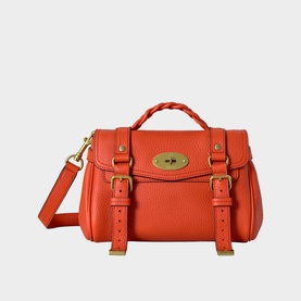 Alexa Mini Tote Bag