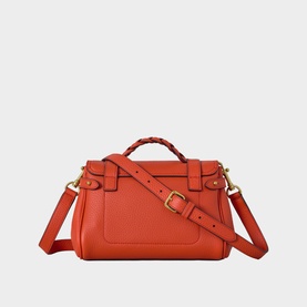 Alexa Mini Tote Bag