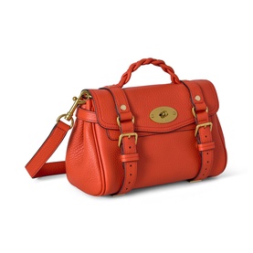 Alexa Mini Tote Bag