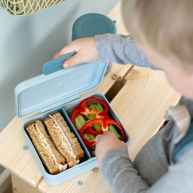 Tiny Farm Lunch Box