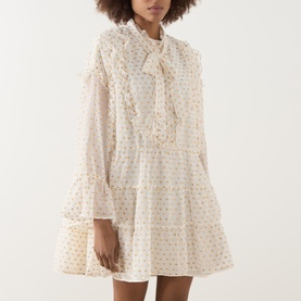 Fanciful Ruffle Mini Dress