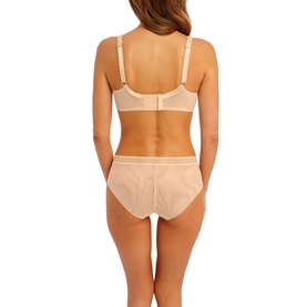 Raffine Lace Panel Briefs