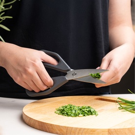 Household Scissors Basic