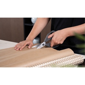 Household Scissors Basic