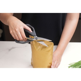 Household Scissors Basic