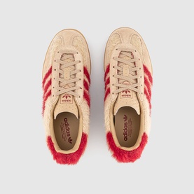Gazelle Indoor Trainers