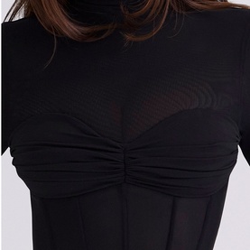 Sorrel Semi Sheer Panelled Dress
