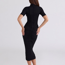 Sorrel Semi Sheer Panelled Dress