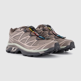 XT-6 GTX Trainers