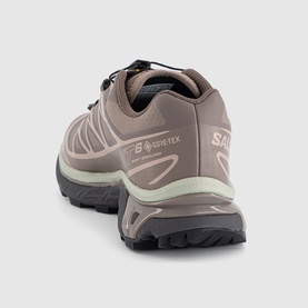 XT-6 GTX Trainers
