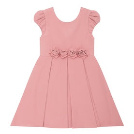 Flower Pleated Dress