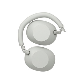 WH1000 Mark 6 Noise Cancelling Bluetooth Over Ear Headphones Platinum Silver