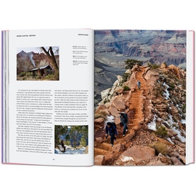 New York Times Explorer