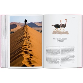 New York Times Explorer