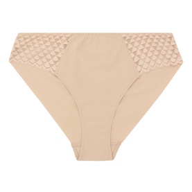 Subtile Lace Briefs