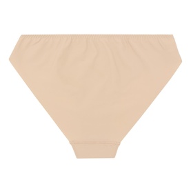 Subtile Lace Briefs