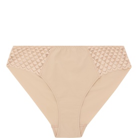 Subtile Lace Briefs