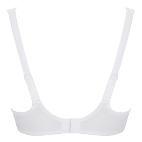 Charlotte Embroidered Underwired Bra