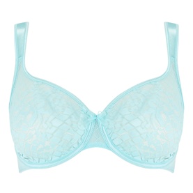 Melody Full Cup Seamless Bra