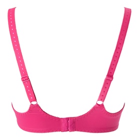 Tess Embroidered Underwired Bra