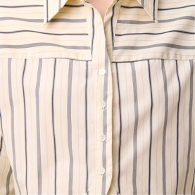 Stripe Cropped Shirt