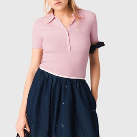 Embroidered Flared Denim Skirt