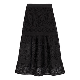 Embroidered Flared Skirt