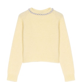 Beaded Knit Sweater