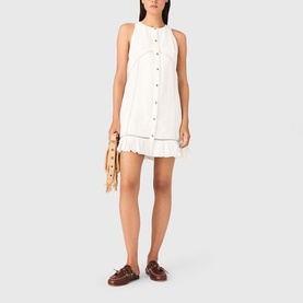 Embroidered Mini Flared Dress