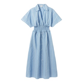 Striped Cinched Flared Dress