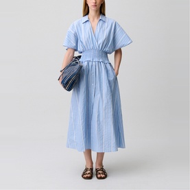 Striped Cinched Flared Dress