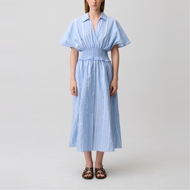 Striped Cinched Flared Dress