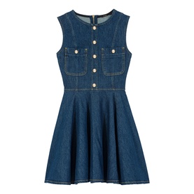 Denim Mini Flared Dress