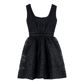 Lace Embroidered Mini Dress