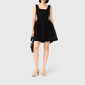 Lace Embroidered Mini Dress