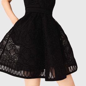 Lace Embroidered Mini Dress