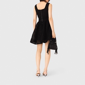 Lace Embroidered Mini Dress