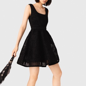 Lace Embroidered Mini Dress