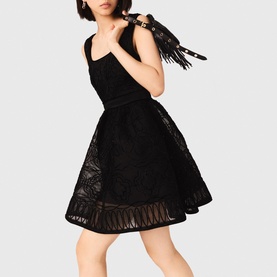 Lace Embroidered Mini Dress