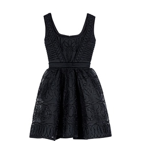 Lace Embroidered Mini Dress
