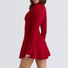 Aubrey Knitted Mini Dress