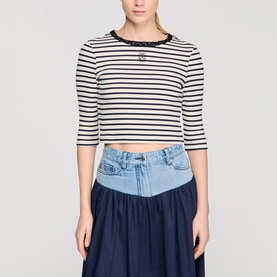 Stripe Logo Top