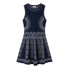 Embroidered Mini Flared Dress