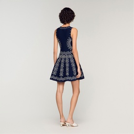 Embroidered Mini Flared Dress