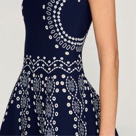 Embroidered Mini Flared Dress