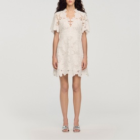 Floral Lace Mini Flared Dress