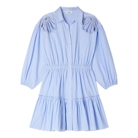 Striped Embroidered Mini Shirt Dress