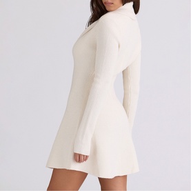 Ayla Asymmetric Skater Mini Dress