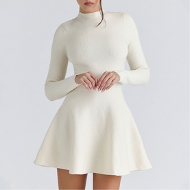 Bonnie Skater Mini Dress