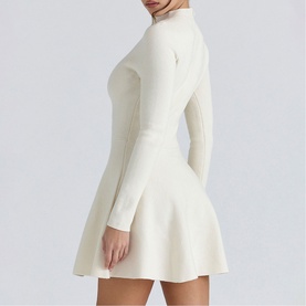 Bonnie Skater Mini Dress